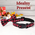 Świąteczny prezent dla psa lub kota – ubranka, obroże i akcesoria PrezentDlaPupila.pl